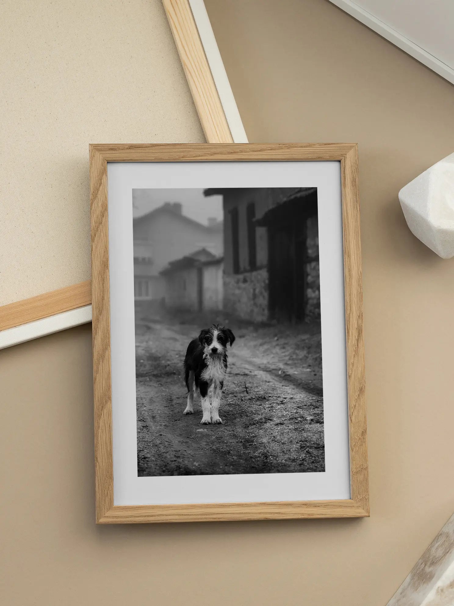 Dog on the Road Poster