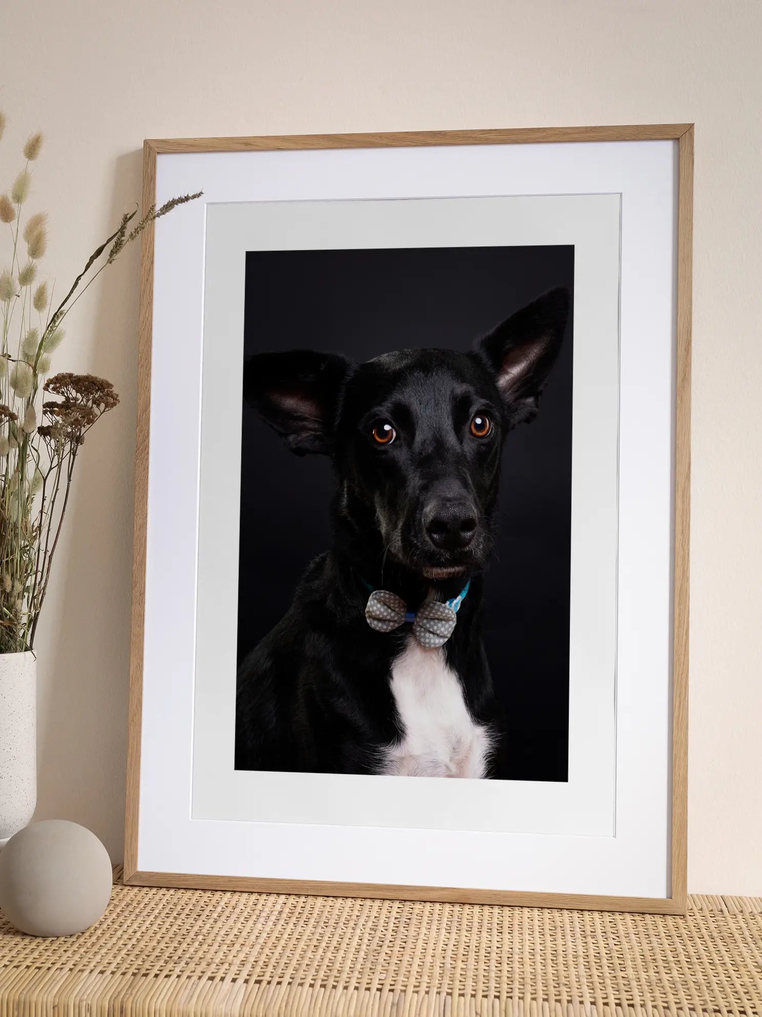 Dog with Bow Tie Poster