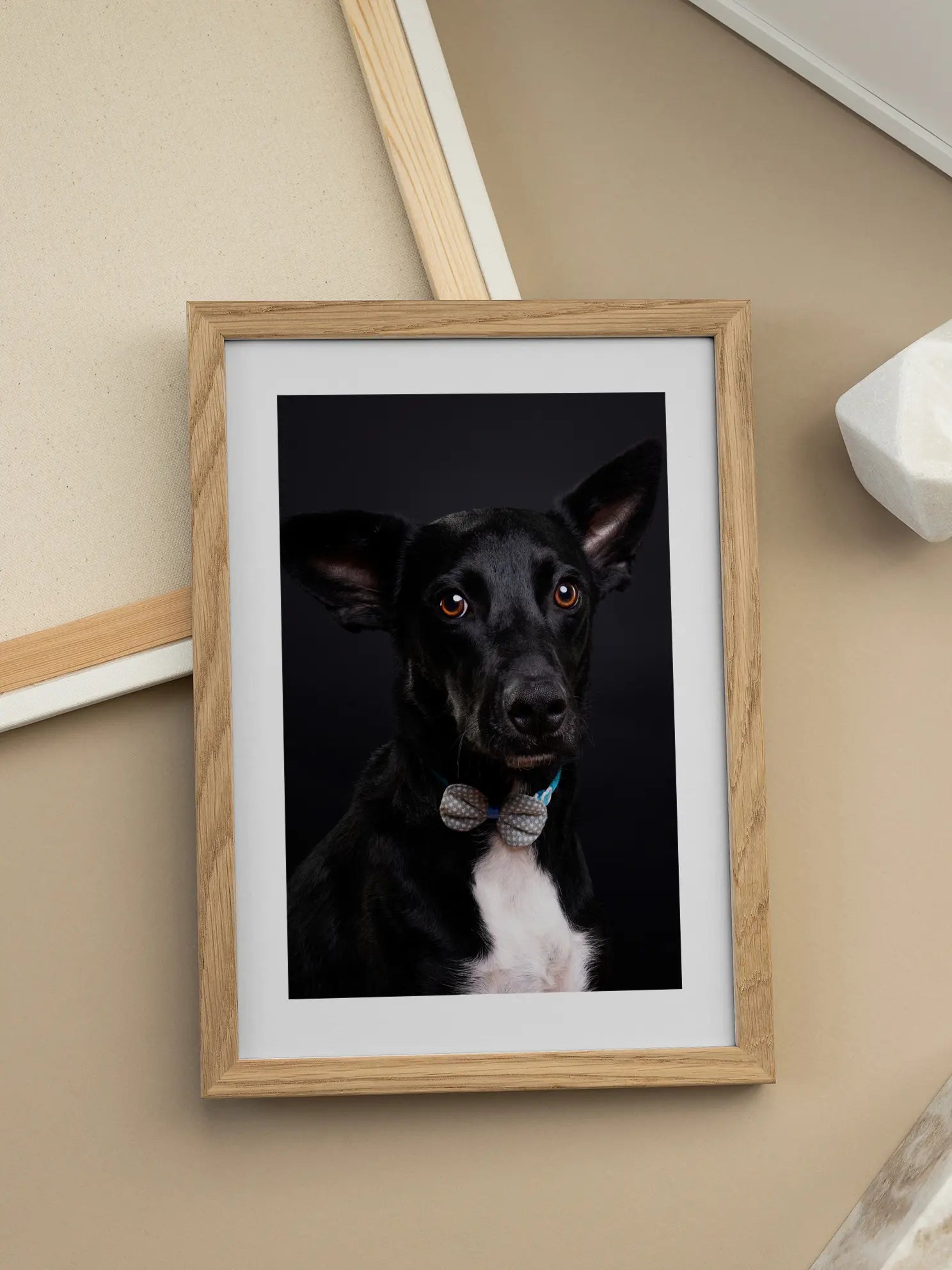 Dog with Bow Tie Poster