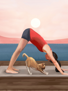 Frau in der Yoga-Pose "herabschauender Hund" mit einer Katze daneben und einem Sonnenuntergang über dem Meer im Hintergrund.