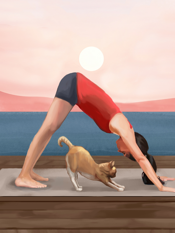 Frau in der Yoga-Pose "herabschauender Hund" mit einer Katze daneben und einem Sonnenuntergang über dem Meer im Hintergrund.