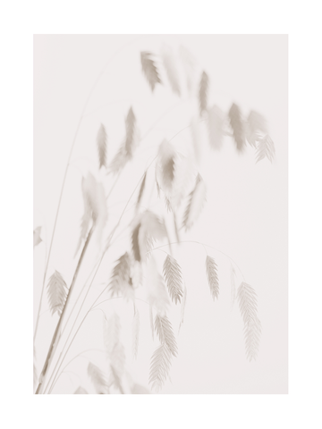 Poster von beigen Gräsern vor einem hellen Hintergrund.