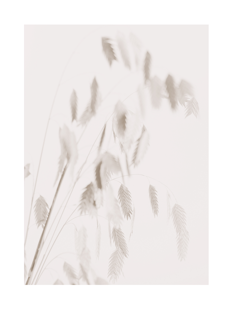 Poster von beigen Gräsern vor einem hellen Hintergrund.