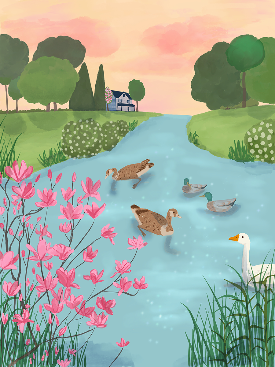 Illustration von Enten, die in einem Fluss schwimmen, umgeben von rosa Blumen und einem blauen Haus im Hintergrund.