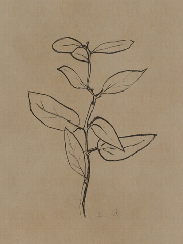 Illustration einer Pflanze mit schwarzen Umrissen auf beigem Hintergrund.