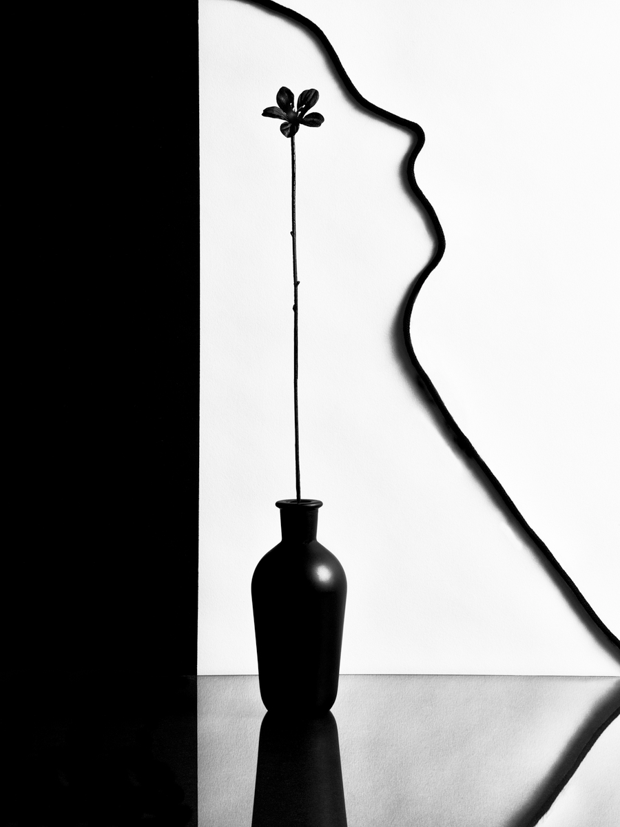 Fotografie einer schwarzen Vase mit Blume und Gesichtsschatten im Hintergrund.