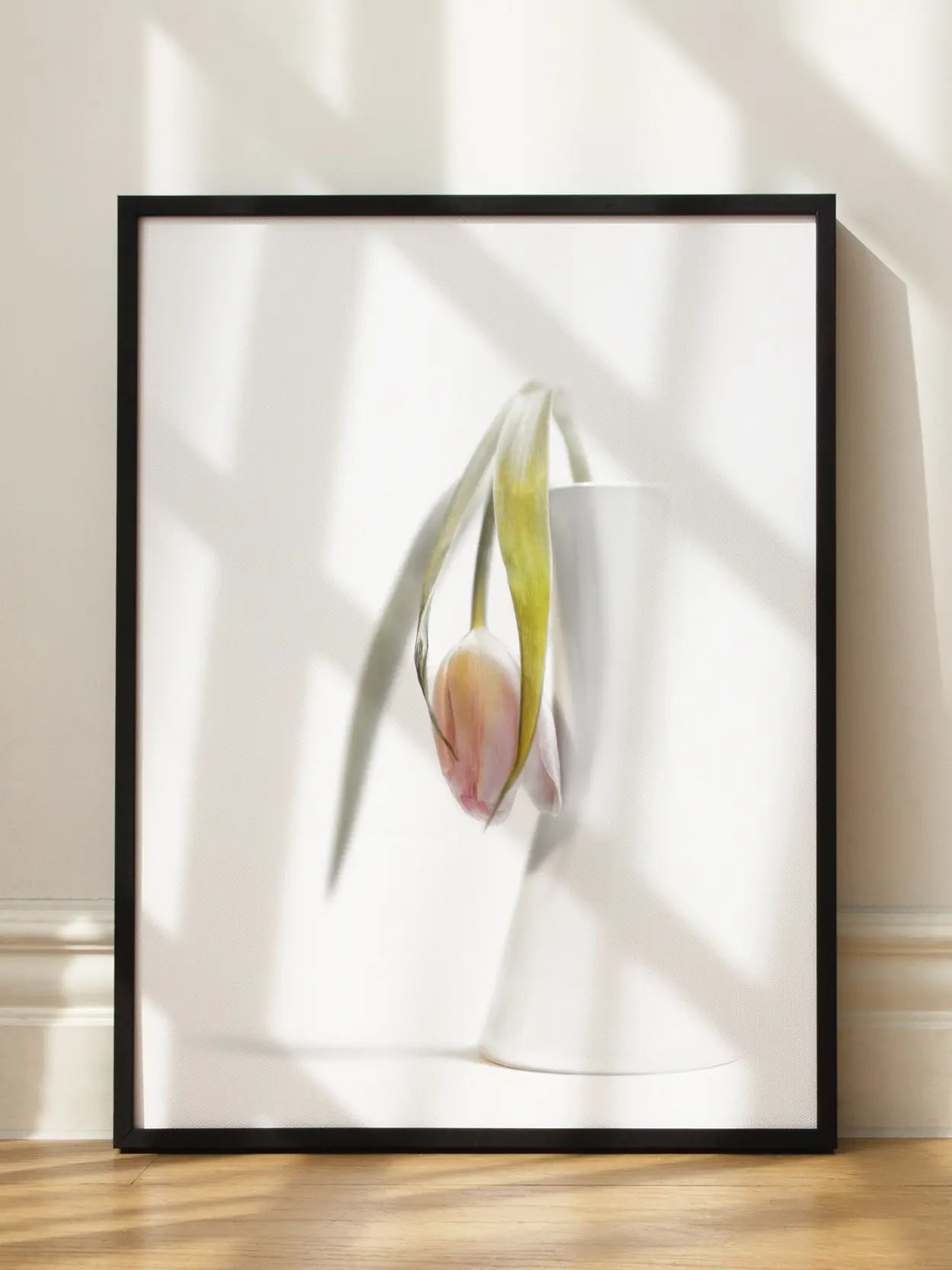 Fading Tulip In White Vase Poster