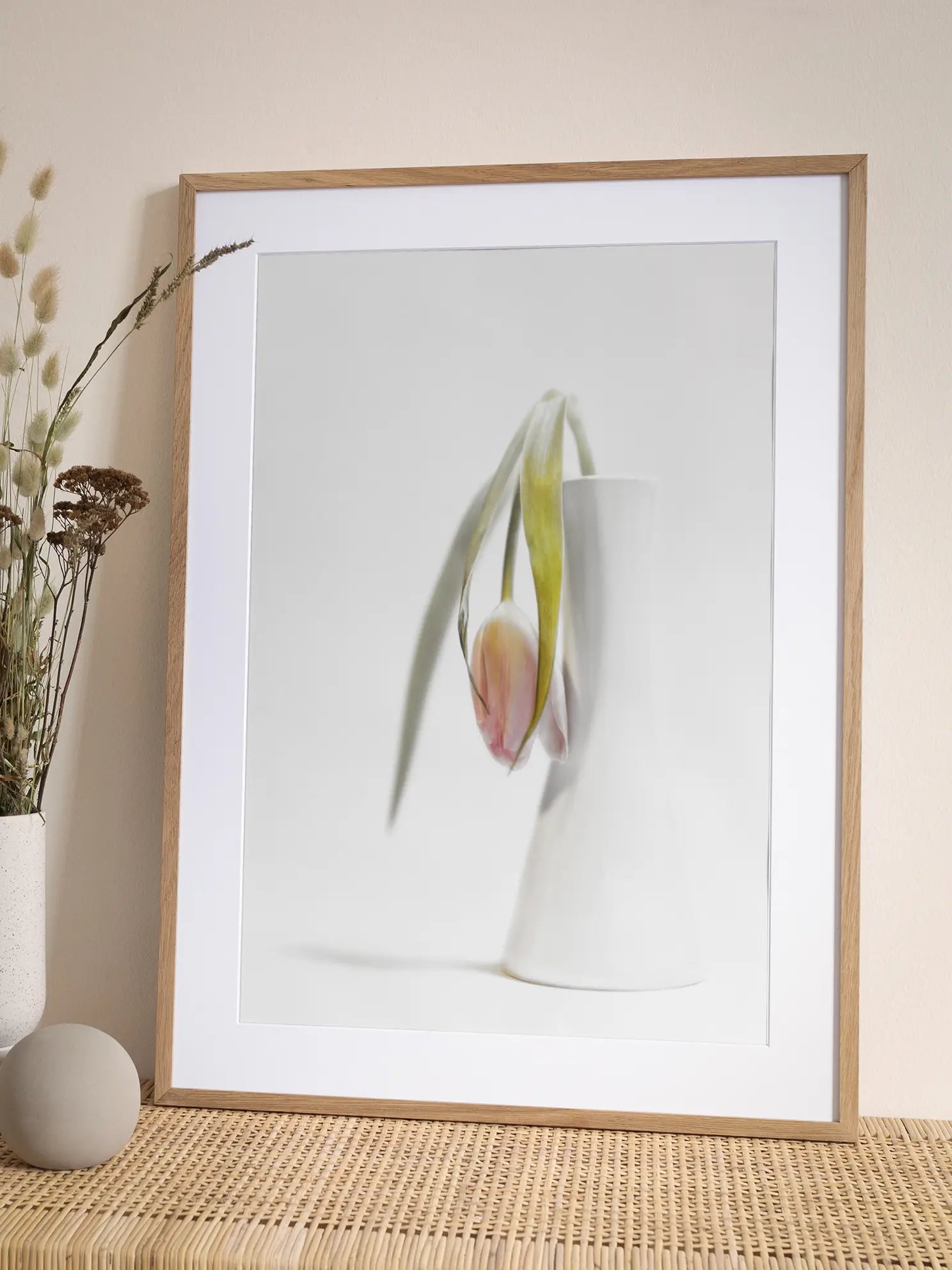 Fading Tulip In White Vase Poster