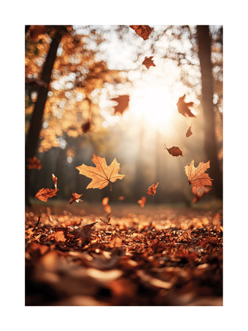 Fotografie von herabfallenden, orangefarbenen Herbstblättern mit Sonne und Bäumen im Hintergrund.