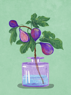 Illustration von lila Feigen und grünen Blättern in einer lila Vase auf grünem Hintergrund.