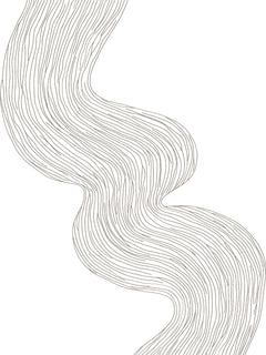Poster mit schwarzen, geschwungenen Linien auf weißem Hintergrund.