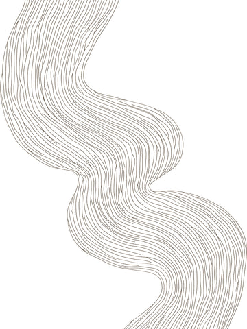 Poster mit schwarzen, geschwungenen Linien auf weißem Hintergrund.