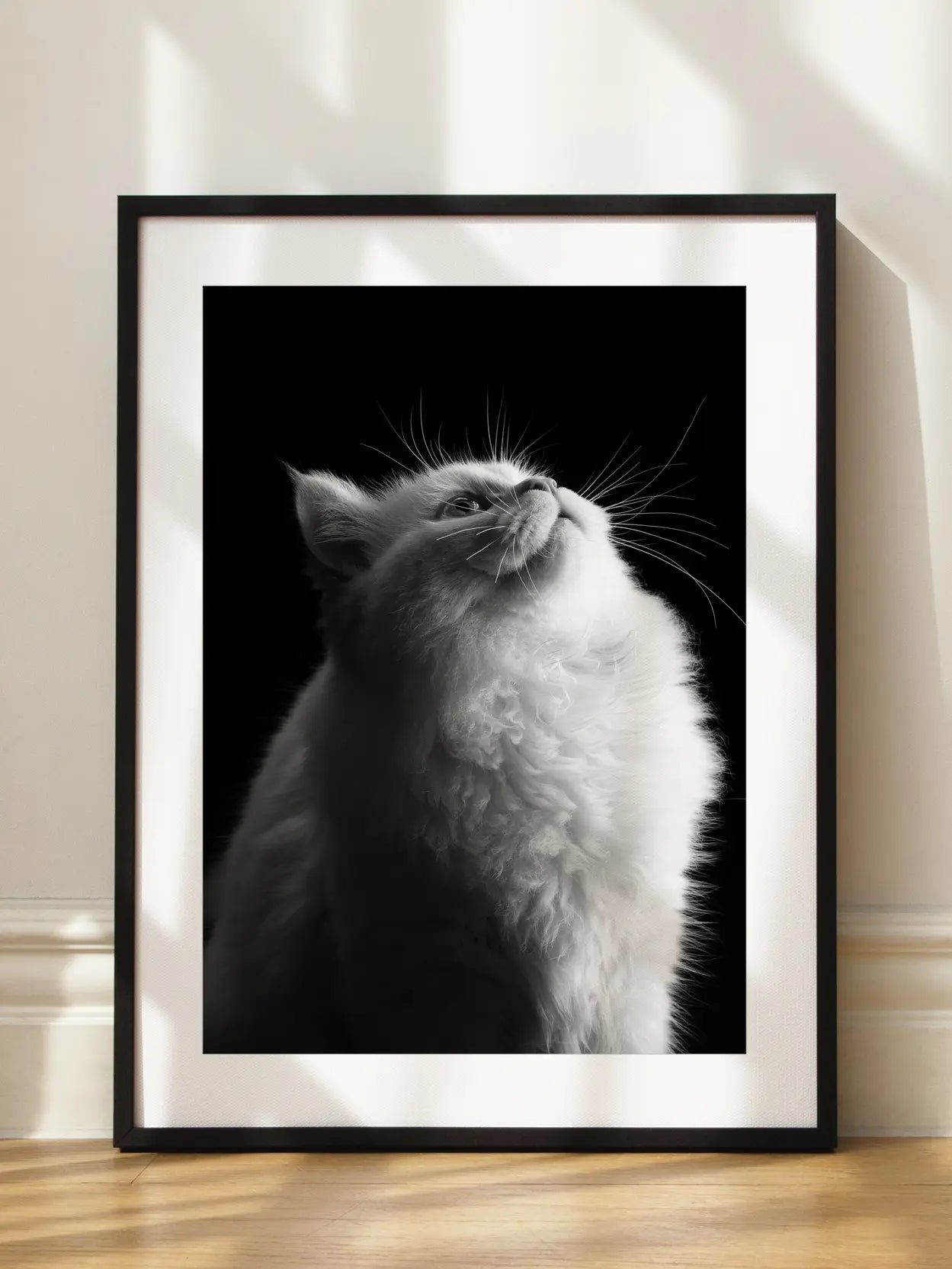Fluffy Cat Poster