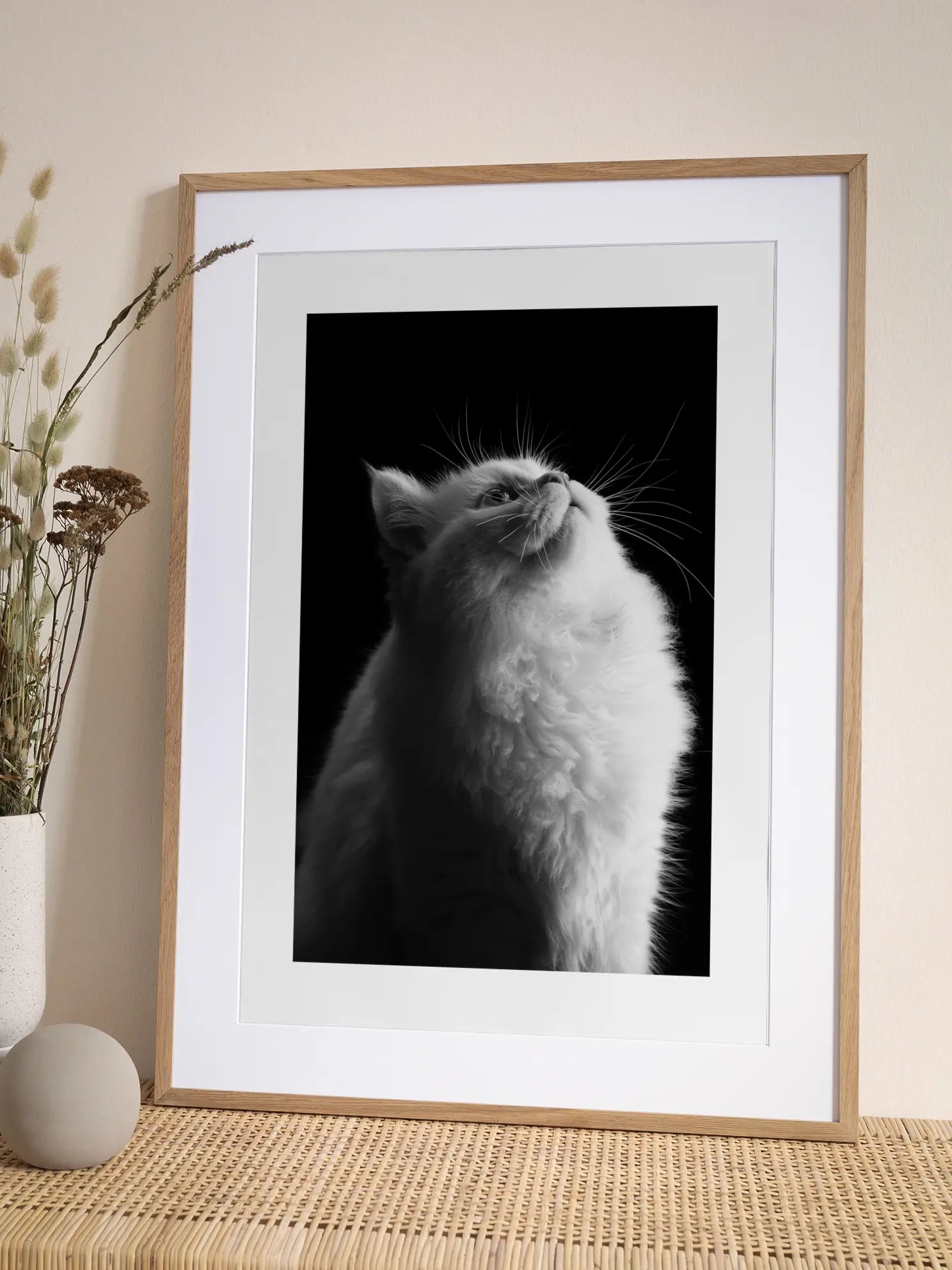 Fluffy Cat Poster