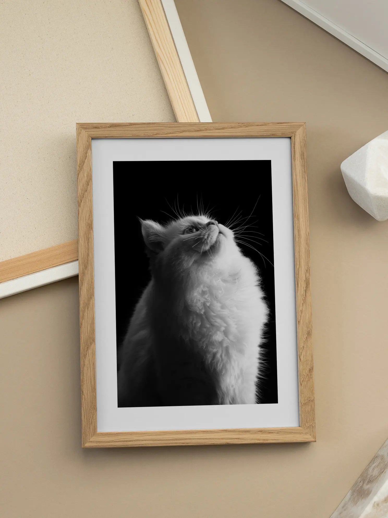 Fluffy Cat Poster