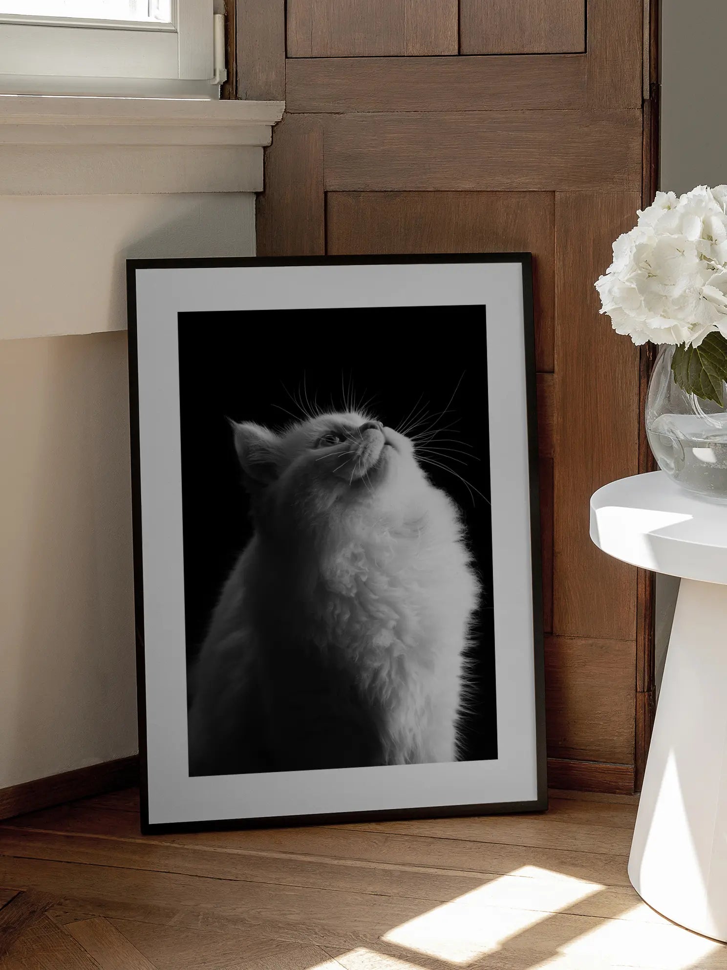 Fluffy Cat Poster