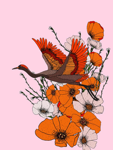 Eine Illustration eines fliegenden Kranichs über einem Feld aus orangefarbenen und weißen Mohnblumen auf rosa Hintergrund.