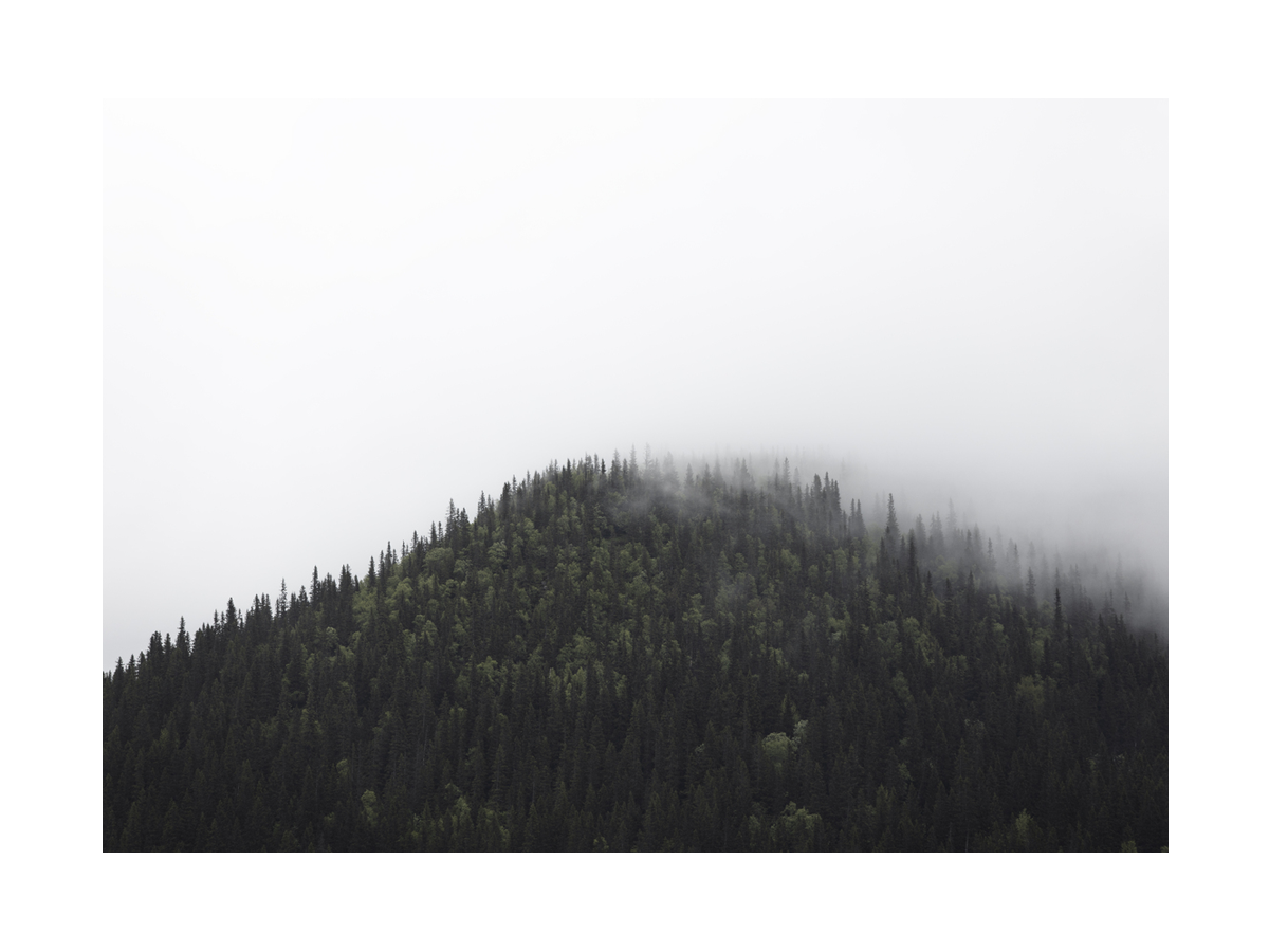 Fotografie eines bewaldeten Berges im Nebel.