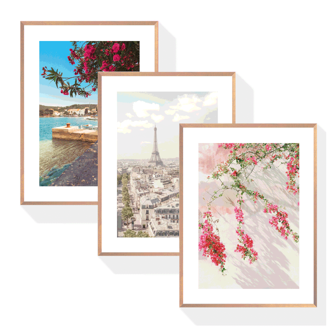 Photography Poster Bundle