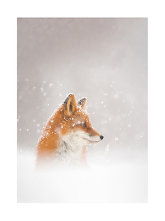Ein Fuchs im Schnee, umgeben von fallenden Schneeflocken.