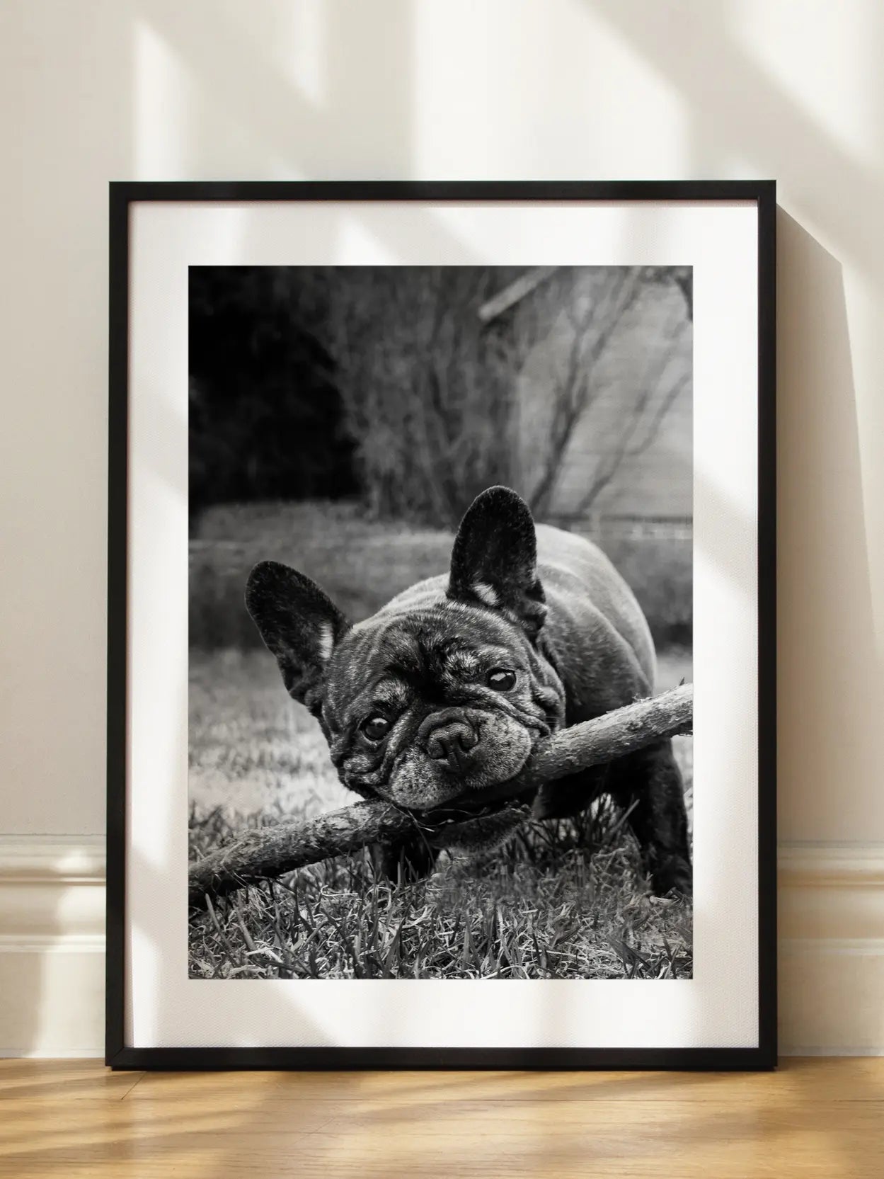 Frenchie Poster