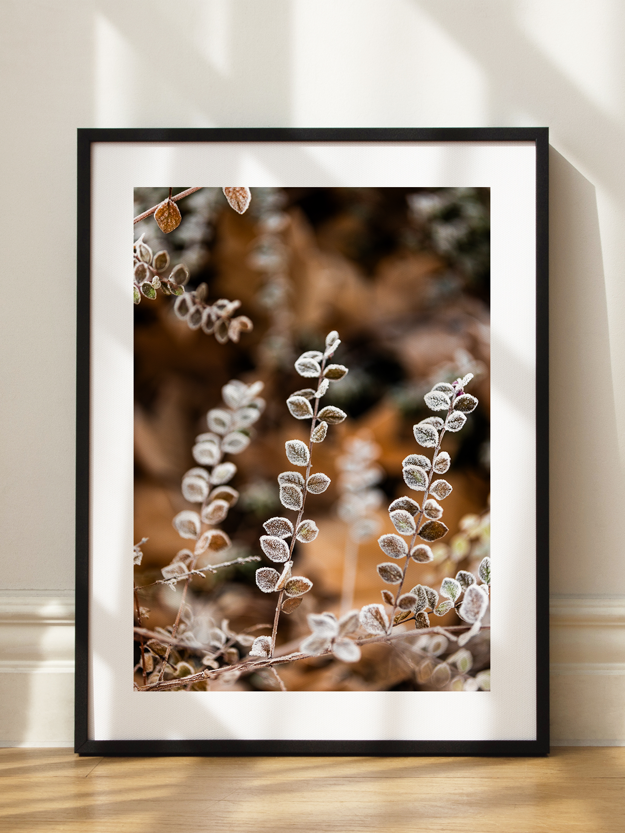 Frosty Leaves