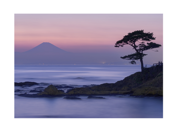 Fotografie des Fuji bei Sonnenuntergang mit einem Baum im Vordergrund.
