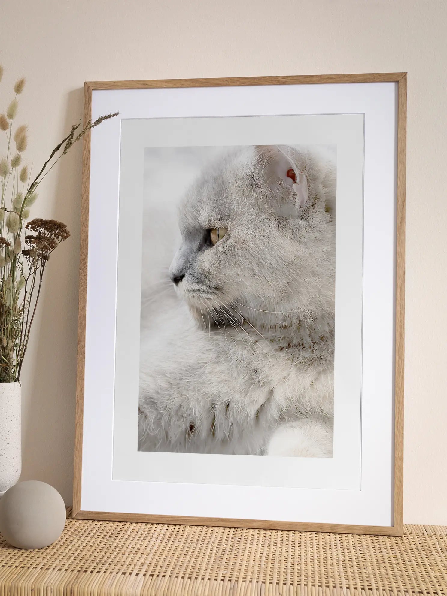 Furry Cat Poster