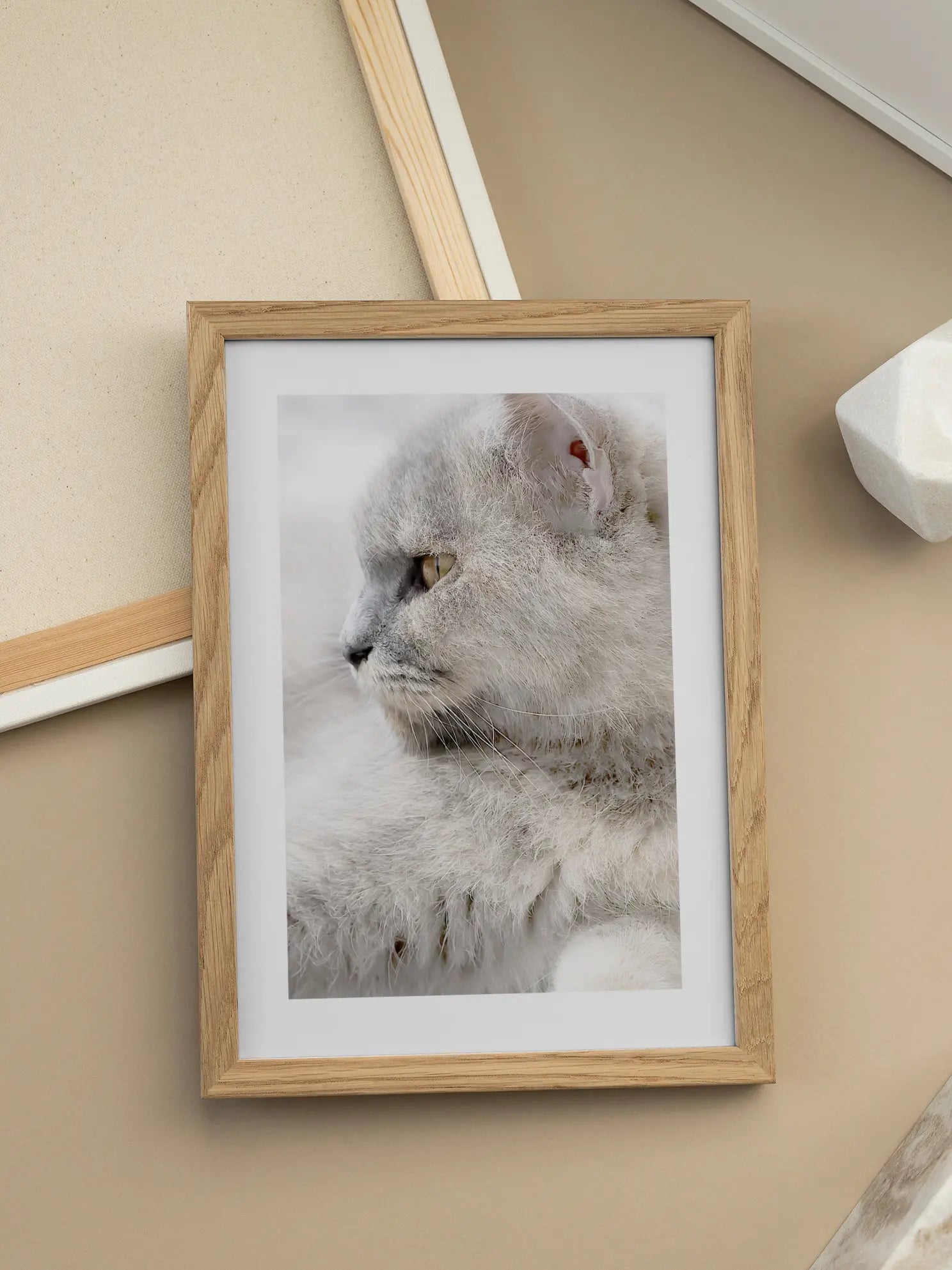 Furry Cat Poster