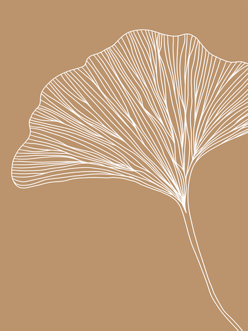 Weiße Ginkgo-Blatt-Illustration auf hellbraunem Hintergrund.