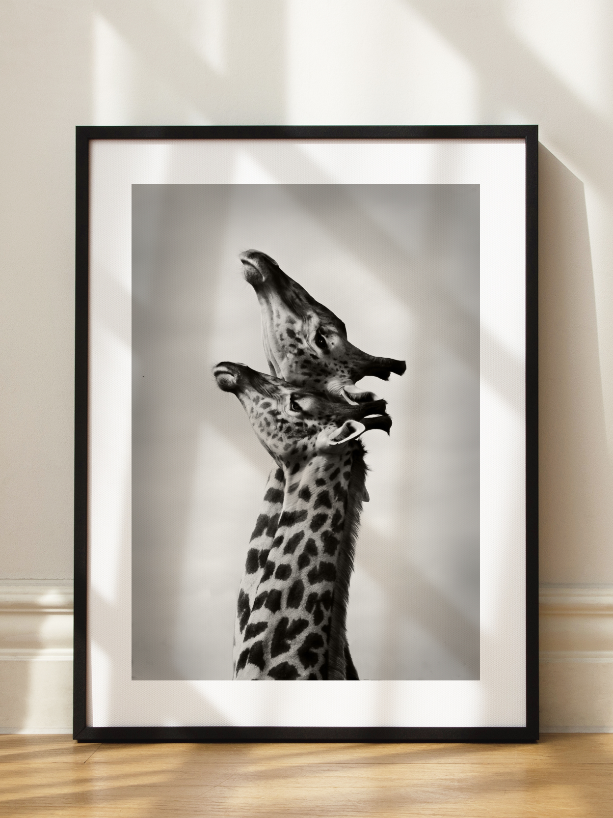 Giraffe Love