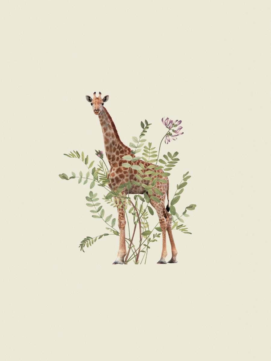 Illustration einer Giraffe umgeben von grünen Pflanzen und einer rosa Blume auf hellbeigem Hintergrund.