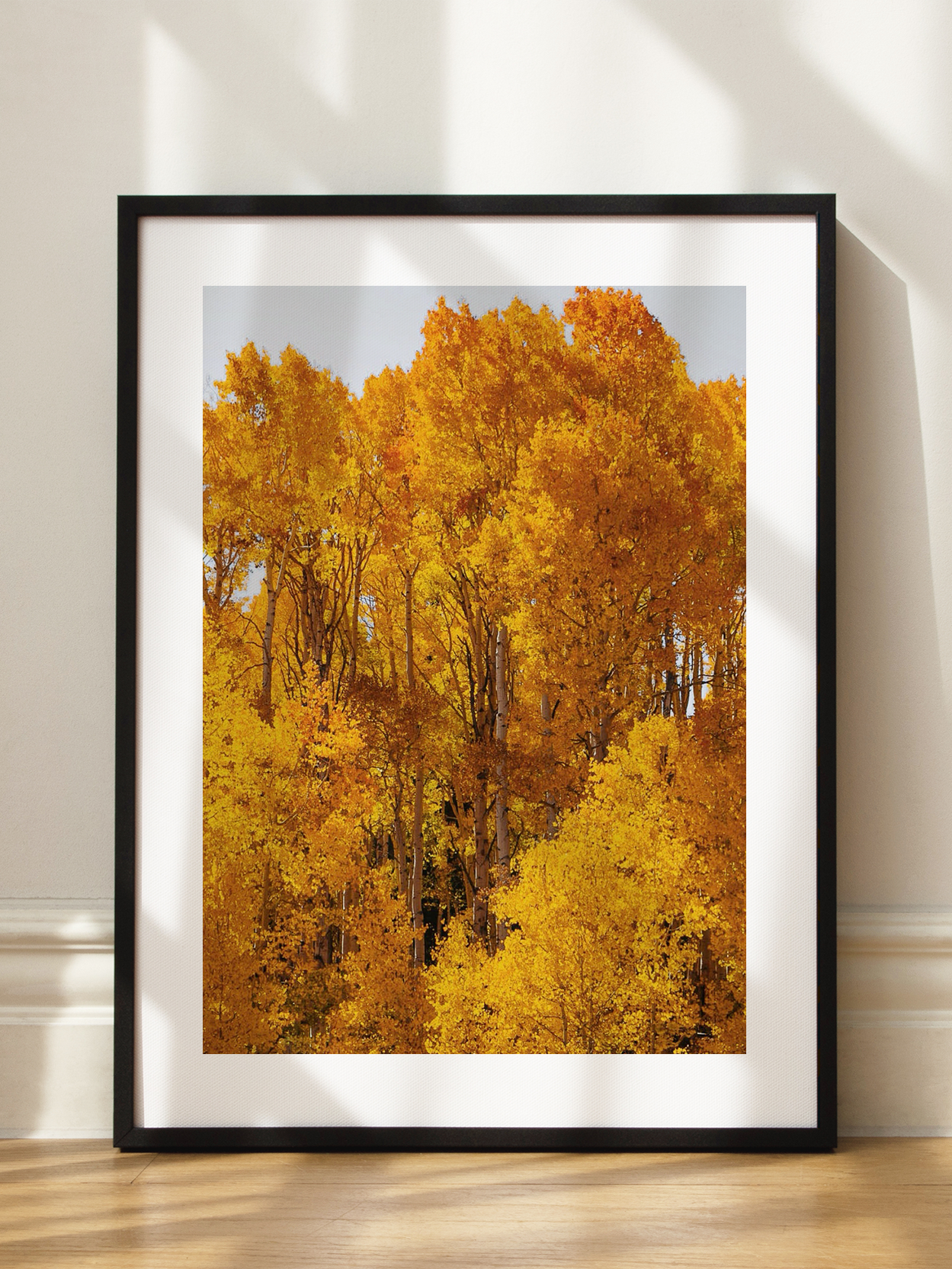 Golden Aspen Forest