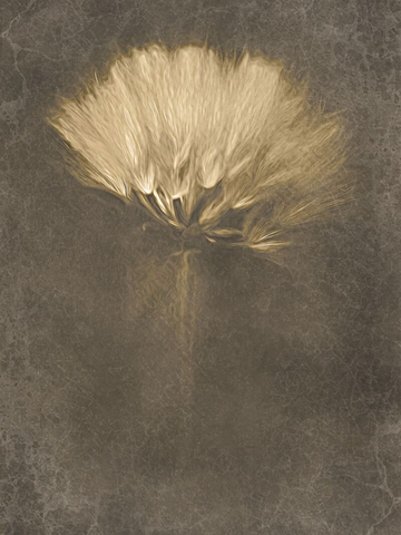 Goldene Blume auf braunem Hintergrund.