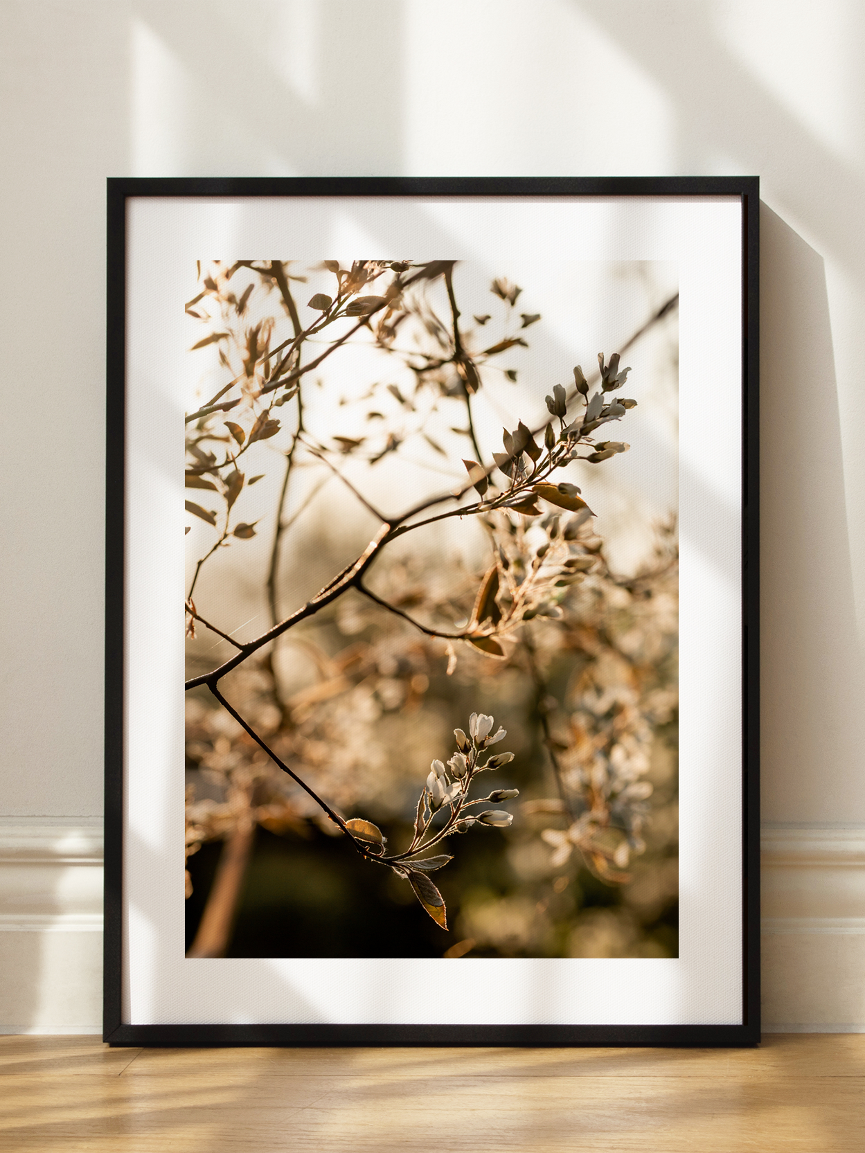 Golden Hour Blossoms