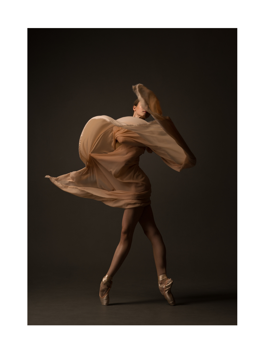 Graceful Ballet Motion Poster