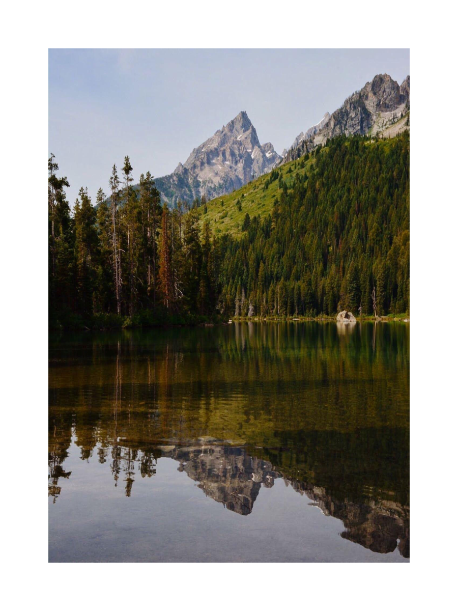 Fotografie eines ruhigen Sees mit Berg und Wald im Grand Teton Nationalpark.