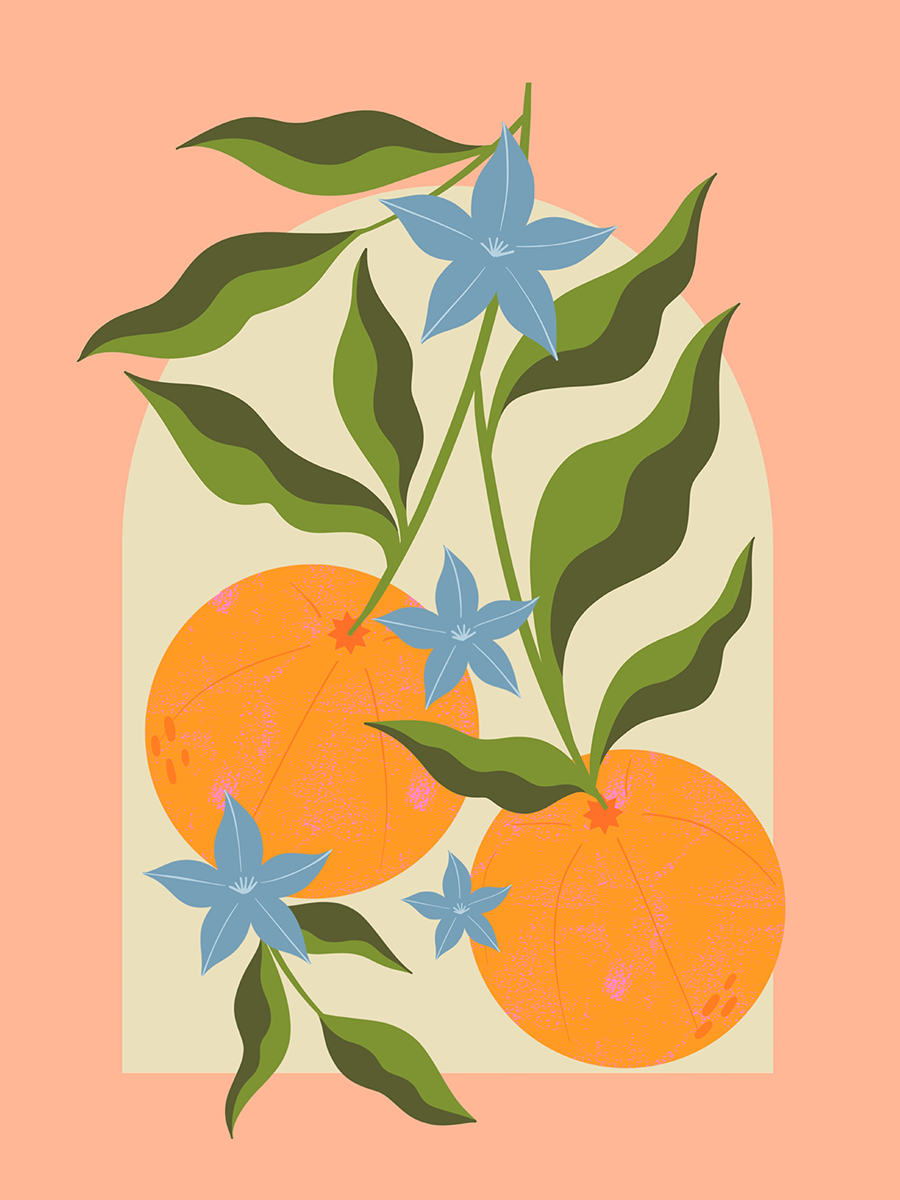 Grafische Illustration von Orangen, grünen Blättern und blauen Blüten auf beigem Hintergrund mit rosa Akzent.