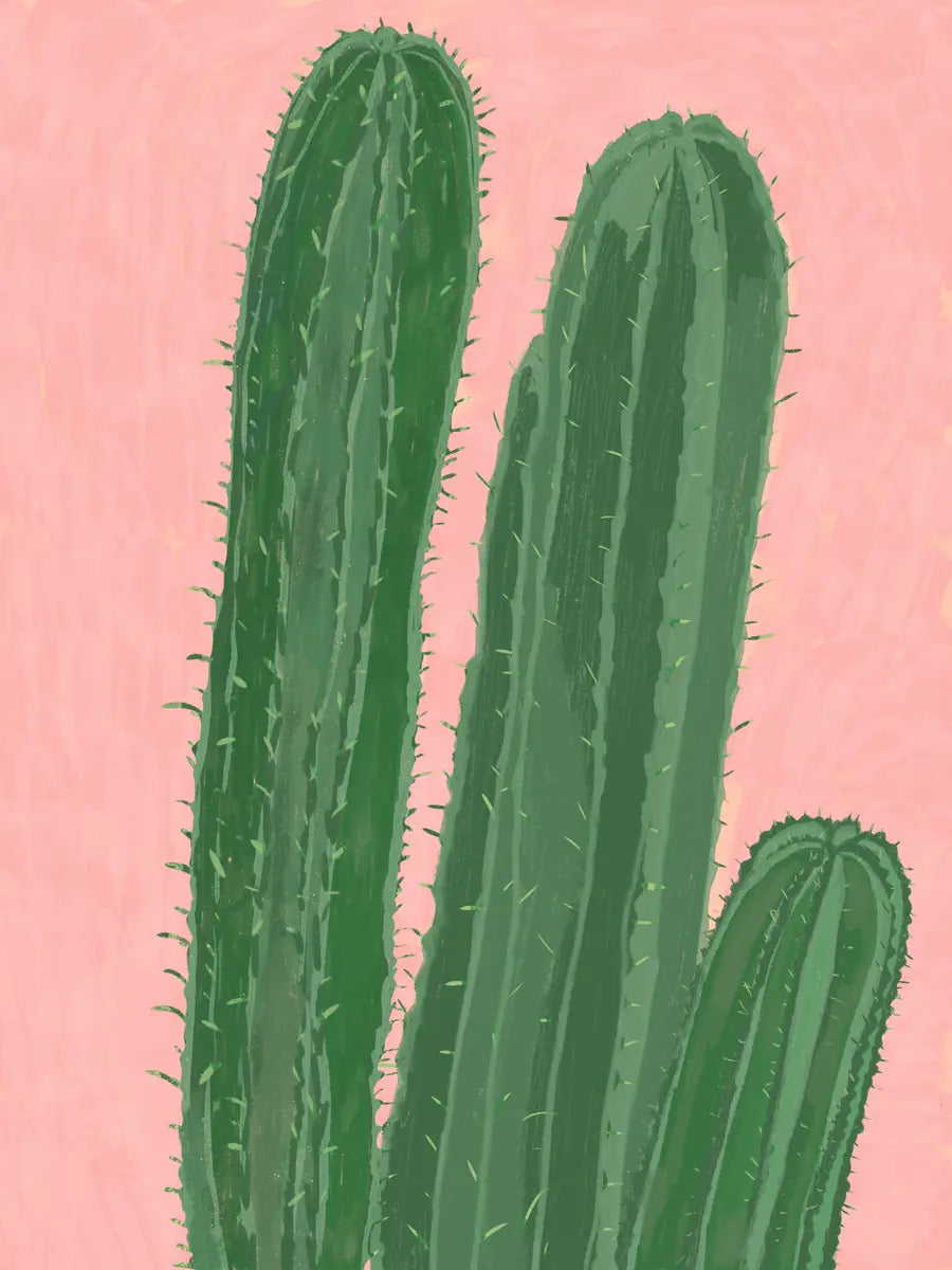 Green Cactus Pink Background Poster