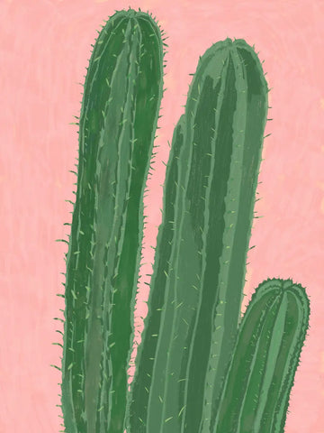 Klassische botanische Illustration eines bunten Blumenstraußes.