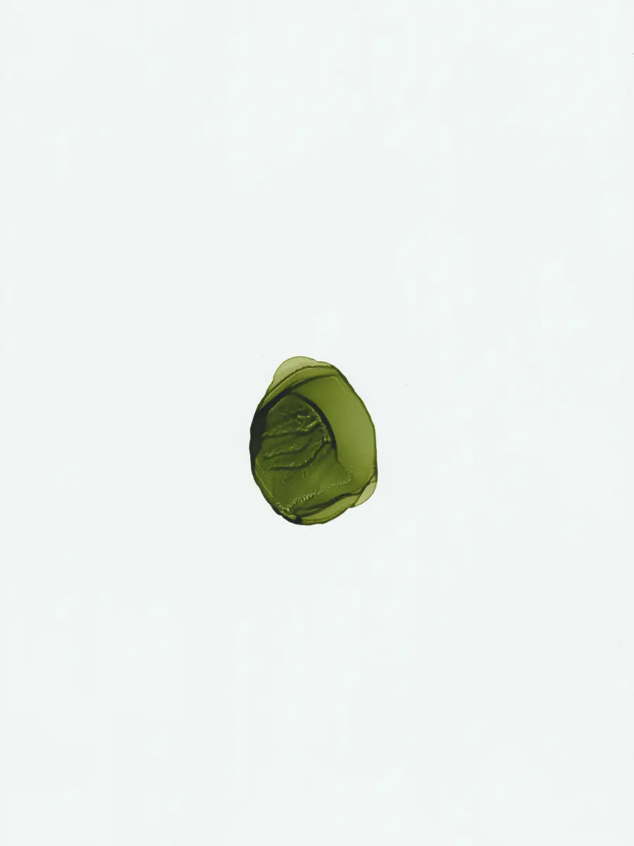 Green Dot Poster