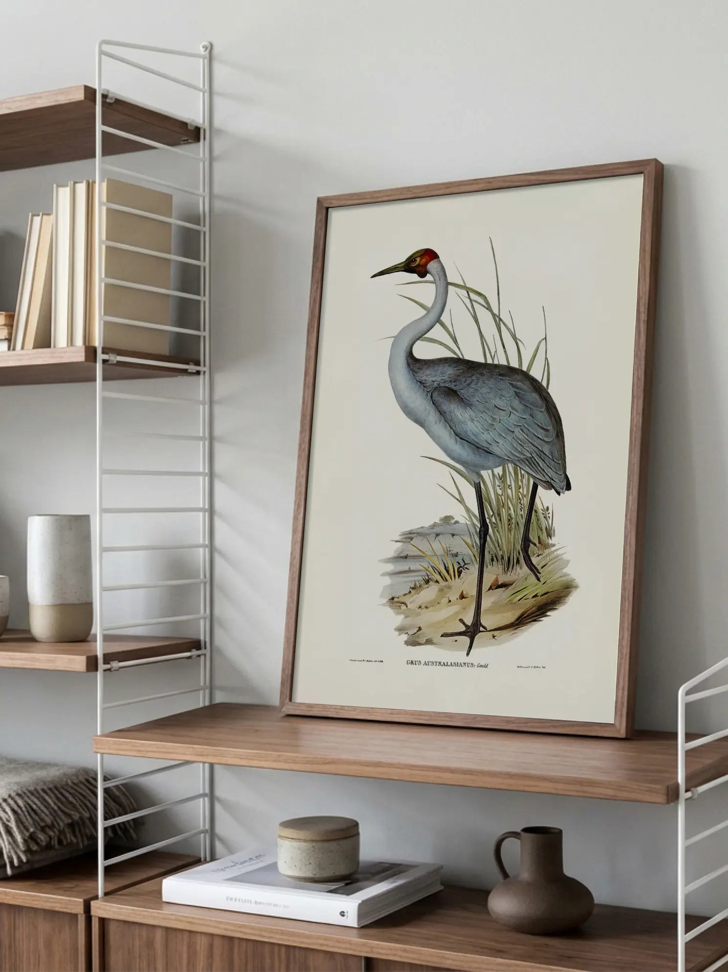 Heron Bird Illustration Poster