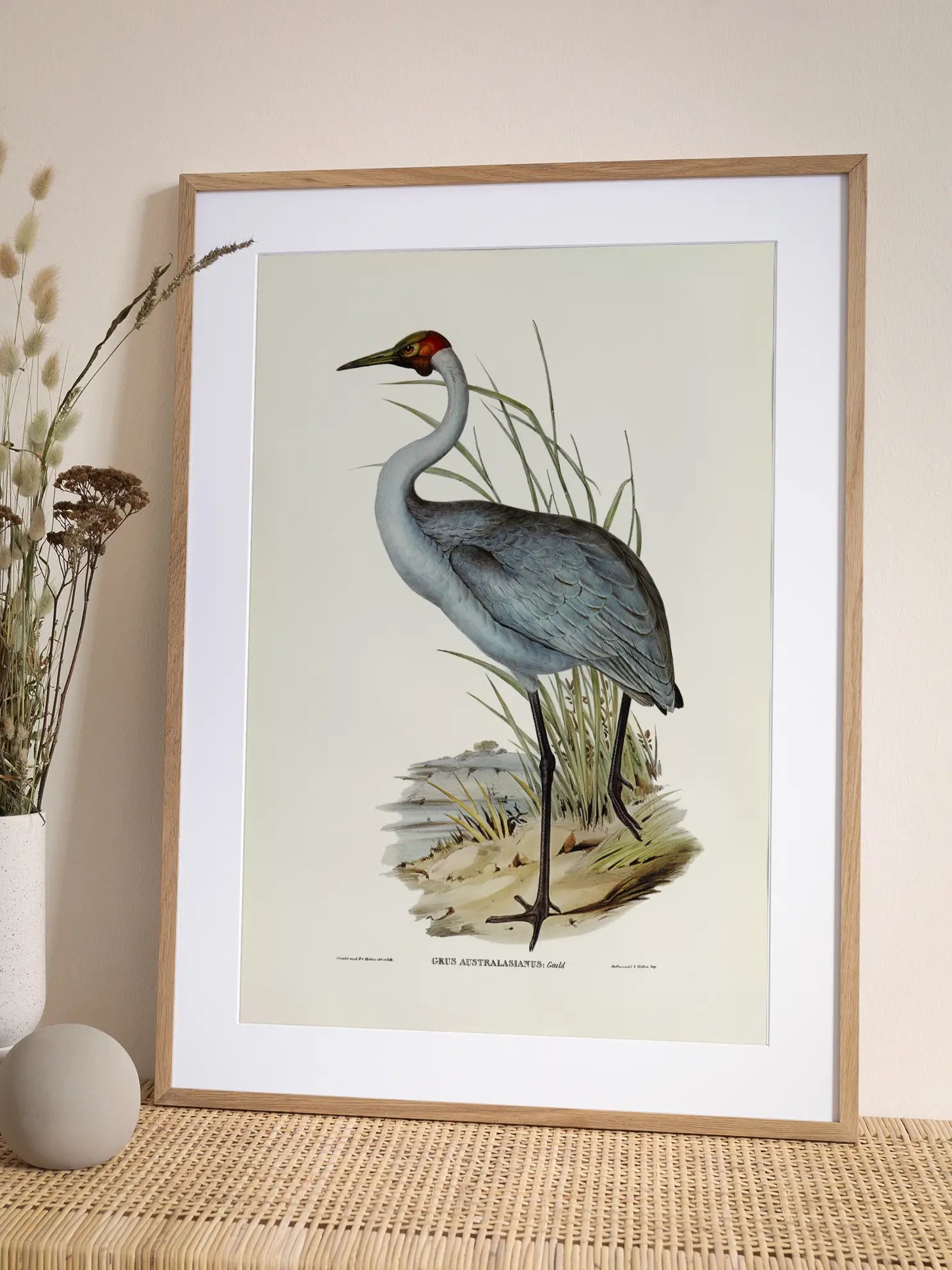 Heron Bird Illustration Poster