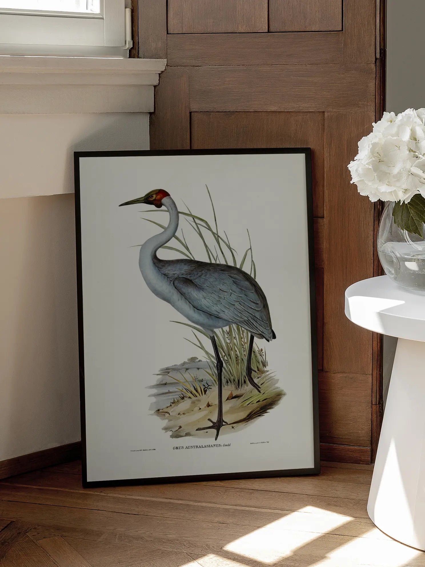 Heron Bird Illustration Poster