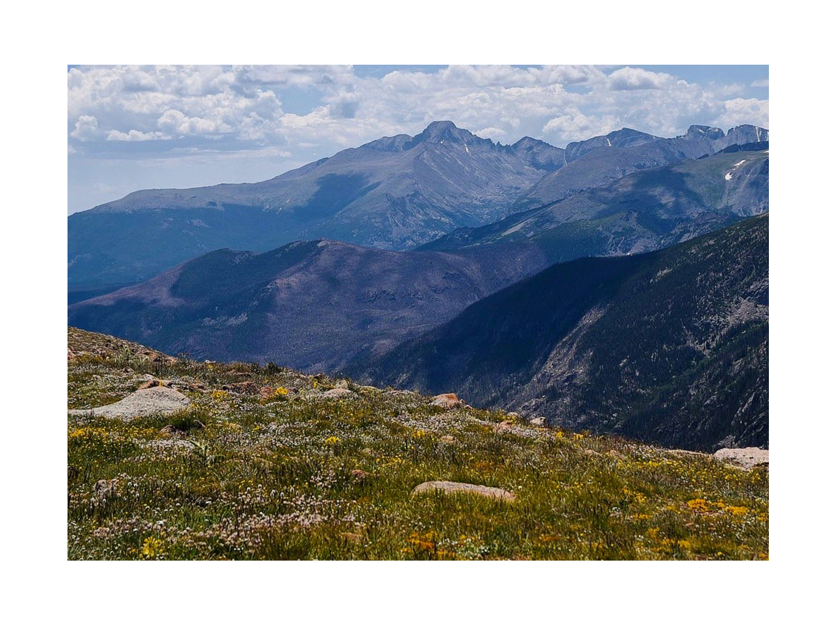 Berglandschaft mit Wiese und Wildblumen im Vordergrund.