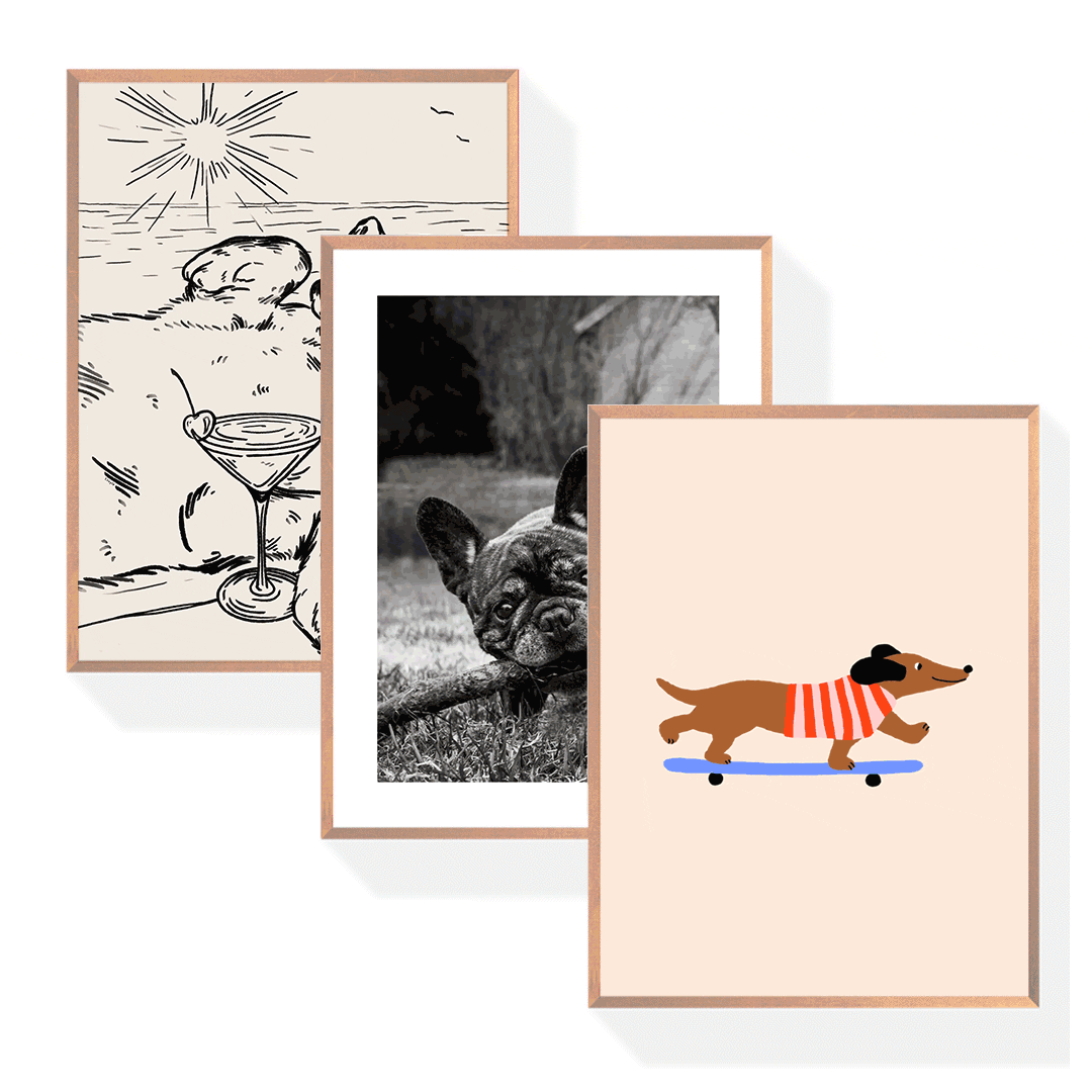 Hund Poster Bundle