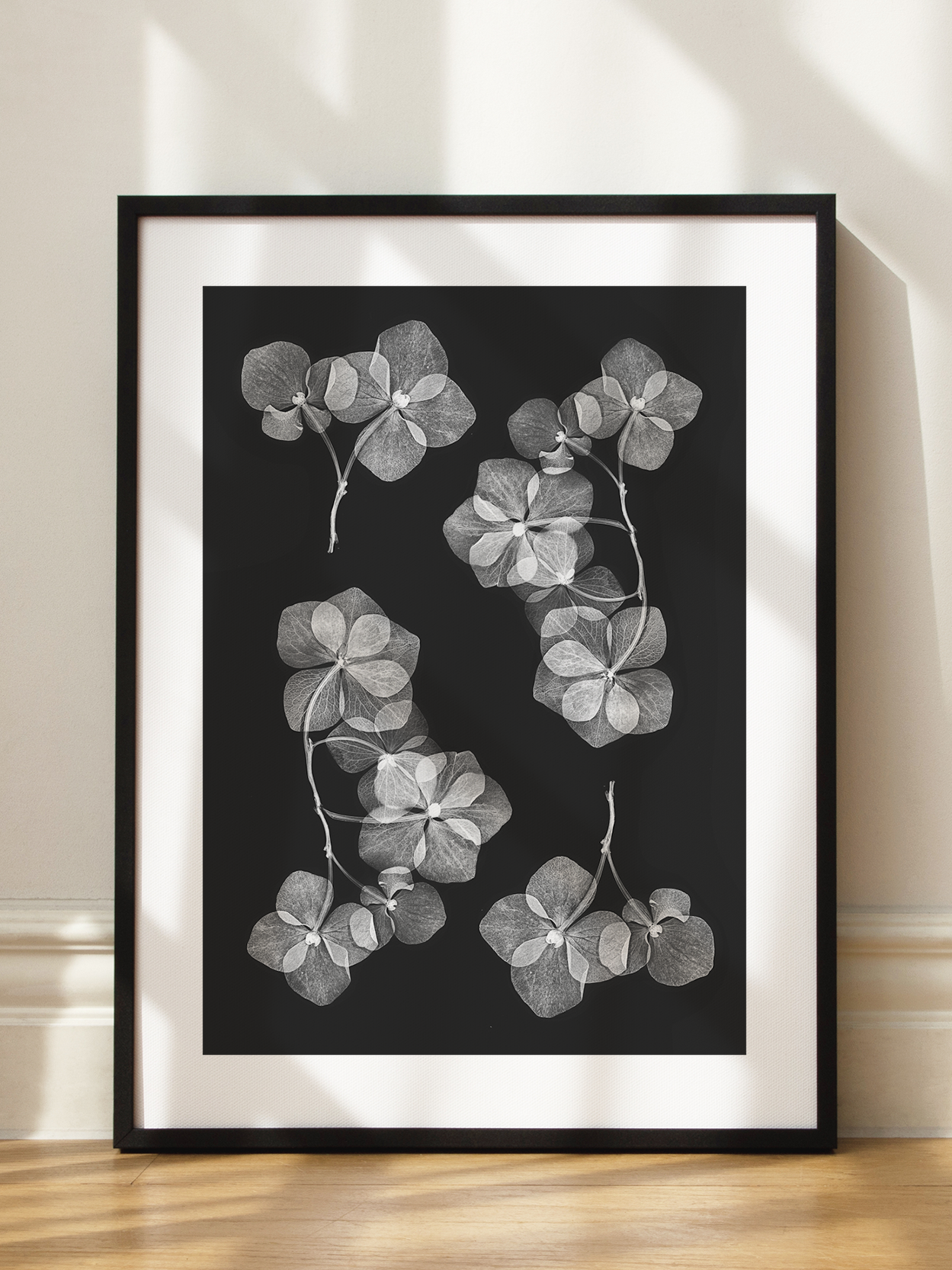 Hydrangea Transparency Poster