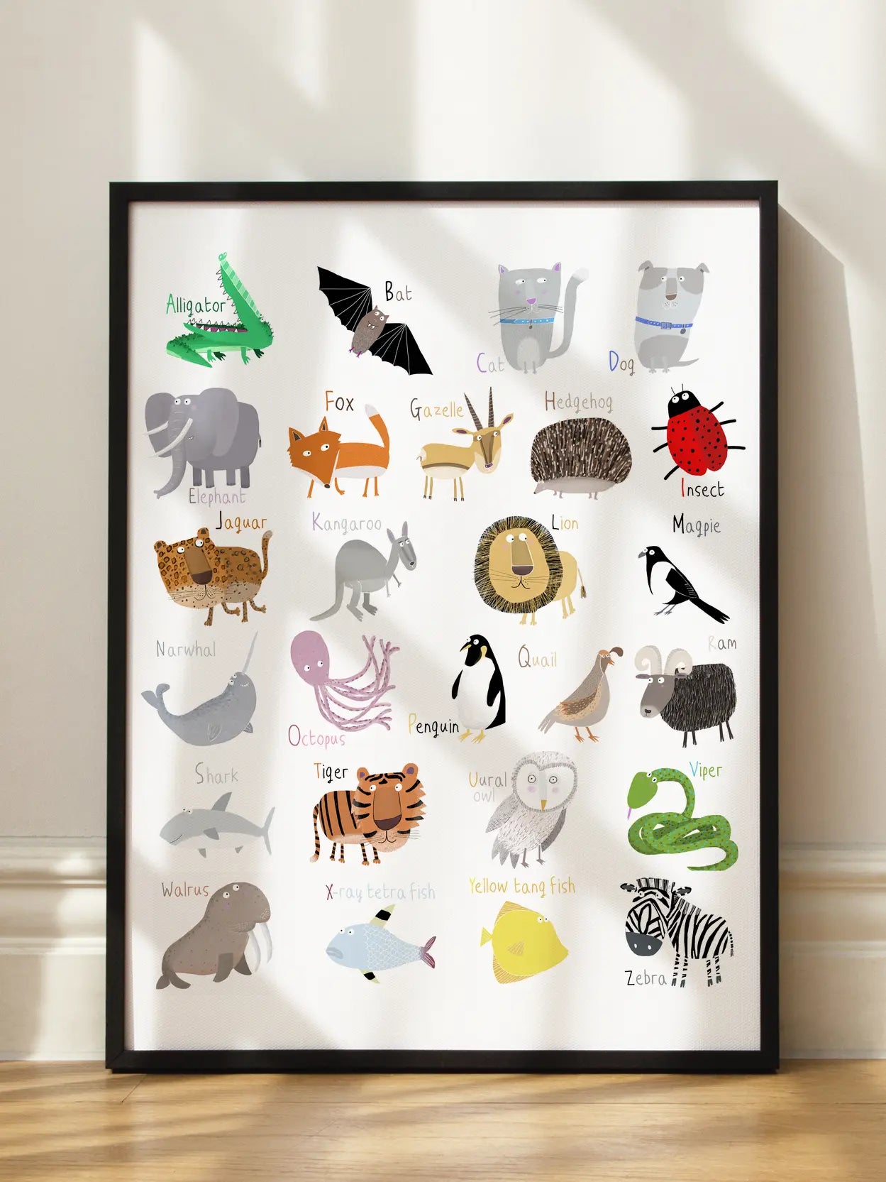 Illustrated Alphabet Animal Letters