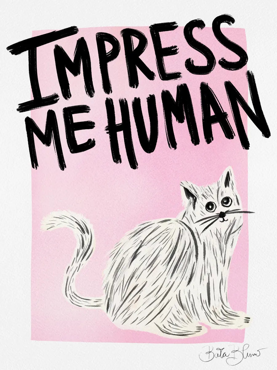 Impress Me Human Poster