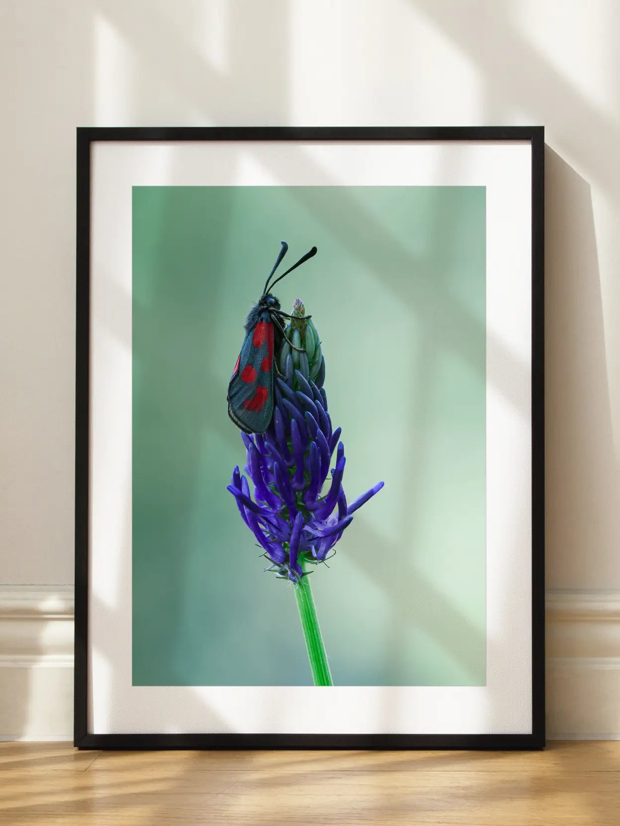 Insect Purple Flower